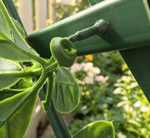 Artificial Fence